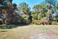 tt_lot.jpg (210788 bytes)